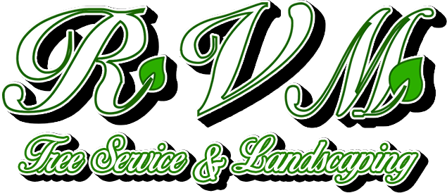 Main Logo